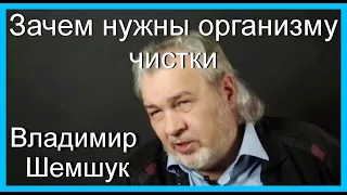 Зачем нужны организму чистки. Владимир Шемшук