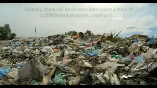 The Plastic Initiative: Inspiration for Youth