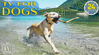 24 Hours Anti Anxiety with Music for Dogs: Dog TV & Fast-Boredom Busting Videos for Dogs with Music