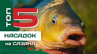 ТОП 5 насадок для ловли сазана от Евгения Конюшевского. Рыбалка на картошку.