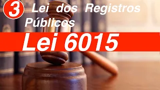 Lei 6015    Lei dos Registros Públicos Art  42 a 50