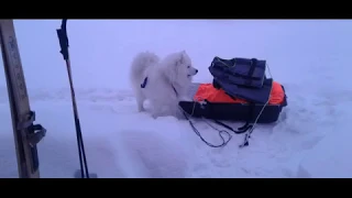 БУШКРАФТ (BUSHCRAFT)-"лежа на диване". ФИНАЛ