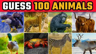 Guess 100 Animals in 3 seconds (Animal Quiz) | How Many Animal Do You Know?