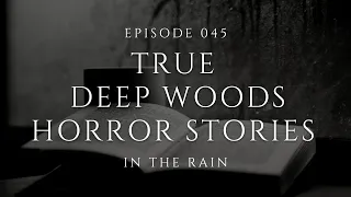 Raven's Reading Room 045 | TRUE Deep Woods Horror Stories in the Rain | The Archives of @RavenReads