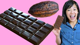 Cocoa POD to CHOCOLATE Bar -- How to Make A DIY Bean-to-Chocolate Bar at Home