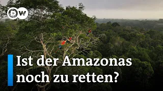 Südamerikanische Staatschefs beraten über Schutz des Amazonas | DW Nachrichten