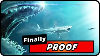FINALLY Proof That Megalodon Sharks STILL Exist!!