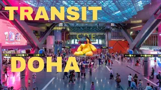 How to Transit in Doha Airport | How to Transfer flight in Hamad AirPort Doha Qatar 🇶🇦
