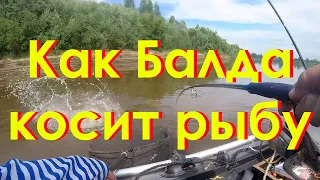 Как Балда косит рыбу