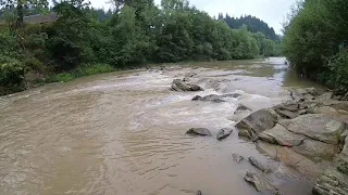 Горная река Прут после дождя...