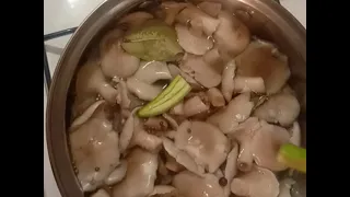 Маринованные рядовки. Вкусно, полезно.