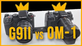 Lumix G9II vs OM System OM1 - Video IBIS & AF test