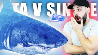 MEGALODON! OBŘÍ ŽRALOK v GTA V