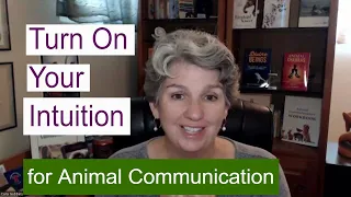 How to Turn on Your Right Brain for Animal Communication