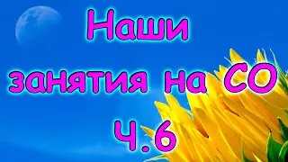 Семья Бровченко. Наши занятия на СО (часть 6). (04.16г.)