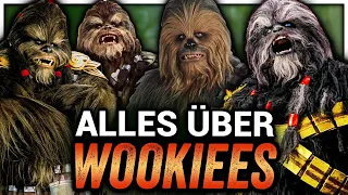 Das komplette Leben der WOOKIEES erklärt