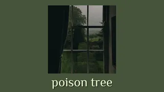 grouper - poison tree (instrumental) // slowed + reverb