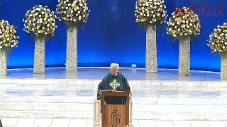 6 pm Holy Mass (14 August 2022)