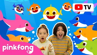 [4K] Bebê Tubarão e Muito Mais | Bebê Tubarão | Pinkfong Canções para crianças