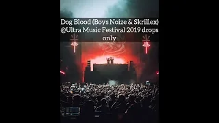 Dog Blood (Boys Noize & Skrillex) @Ultra Music Festival Miami 2019 Drops only