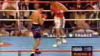 Oscar Delayhoya Vs Julio Cesar Chavez Round 2