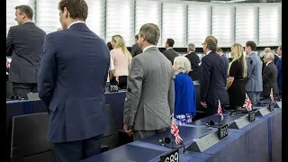 PROTEST IM EU-PLENARSAAL: Brexit-Partei sorgt mit frecher Geste für Eklat