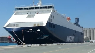 Crashed into the Pier on depurture - NEPTUNE OKEANIS