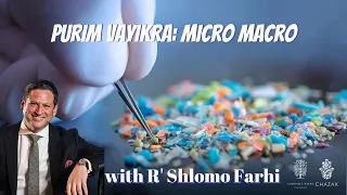 Purim Vayikra: Micro Macro