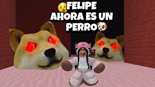 ¡FELIPE AHORA ES UN PERRO! 🐶 (ESCAPE RUNNING HEAD ROBLOX)