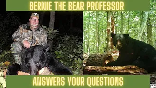 Your bear hunting questions answered | part 1
