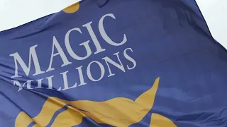 Magic Millions break records in ‘greatest year since 96’