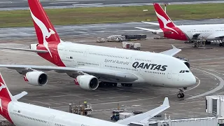 24 MINUTES OF WET WEATHER AND GREAT ENGINE SPOOL UPS! Plane Spotting at Sydney airport