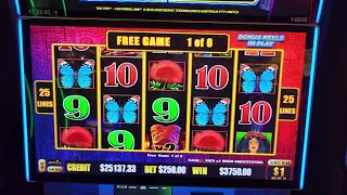 $250 BET MASSIVE WIN LIGHTNING LINK TIKI FIRE FREE SPINS - HARD ROCK HOLLYWOOD HIGH LIMIT $1 Denom