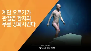 계단 오르기가 관절염 환자의 무릎 강화시킨다 - (20140903_515회 방송)_방송의 날 기획 국민건강 프로젝트 계단혁명