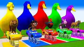 5 Giant Duck, Monkey, Piglet, chicken, dog, cat, cow, Sheep, Transfiguration funny animal 2024