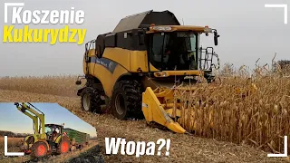 ✔Koszenie kukurydzy🌽✔Wtopa przyczep?!✔Gospodarstwo Rolne Gawlik✔