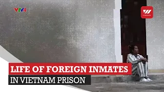 Foreign Prisoners in Vietnam | VTV World