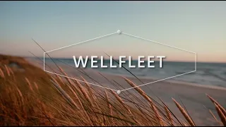 Meet Wellfleet, Cape Cod.
