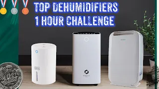 Top 3 Dehumidifiers 1 hour Test - Side By Side Real Life Test