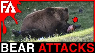 Deadliest Bear Attacks of 2022 MARATHON!