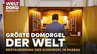 GRÖSSTE DOMORGEL DER WELT: Restaurierung von Passaus monumentaler Domorgel! | MAGAZIN