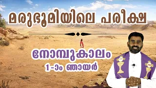 മരുഭൂമിയിലെ പരീക്ഷ| Malayalam Sunday Homily for the 1st Sunday of Lent Year C 2022 | Rev Fr Christin