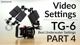 Olympus TG-6 | Best Underwater Camera Settings | Part 4 - Video Settings