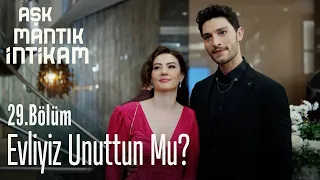 Evliyiz unuttun mu? - Aşk Mantık İntikam 29. Bölüm