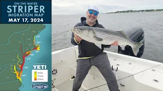 Striper Migration Report | May 17, 2024