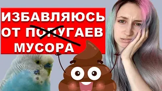 МУСОР ОТ ПОПУГАЯ! КАК УБРАТЬ КЛЕТКУ ЧЕМ ОБРАБАТЫВАТЬ КЛЕТКУ ПОПУГАЙЧИКА