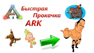 Быстрая и безопасная прокачка в ARK: Survival Evolved