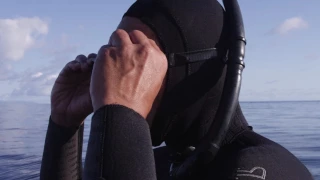 Azores Ray Tagging with Portugal’s Oceano Azul