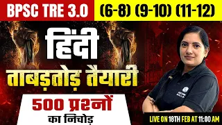 BPSC TRE 3.0 Hindi Marathon | Complete Hindi for BPSC Teacher 2024 | BPSC TRE Hindi by Kalyani Ma'am