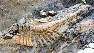 10 Most Amazing Fossil Discoveries